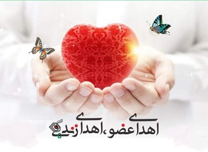 هفته اهدا عضو، اهدای زندگی